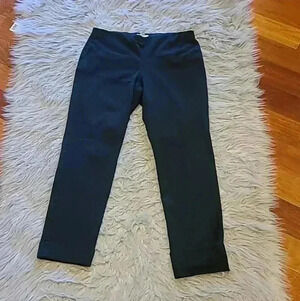 J. Jill Wearever Collection Smooth Fit Slim Leg Pants Blue Stretch Size LP